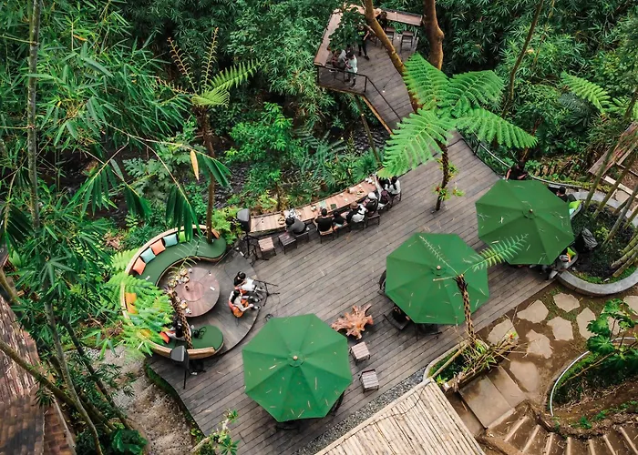 Country Side Room Northern Ubud